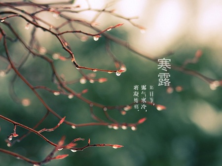 &#113;&#121;&#21315;&#20159;&#45;&#113;&#121;&#21315;&#20159;&#40;&#20013;&#22269;&#41;&#19968;&#31449;&#24335;&#26381;&#21153;&#23448;&#26041;&#32593;&#31449;