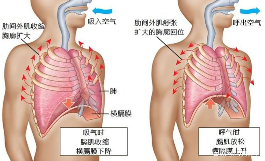 &#113;&#121;&#21315;&#20159;&#45;&#113;&#121;&#21315;&#20159;&#40;&#20013;&#22269;&#41;&#19968;&#31449;&#24335;&#26381;&#21153;&#23448;&#26041;&#32593;&#31449;