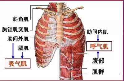 &#113;&#121;&#21315;&#20159;&#45;&#113;&#121;&#21315;&#20159;&#40;&#20013;&#22269;&#41;&#19968;&#31449;&#24335;&#26381;&#21153;&#23448;&#26041;&#32593;&#31449;