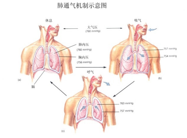 &#113;&#121;&#21315;&#20159;&#45;&#113;&#121;&#21315;&#20159;&#40;&#20013;&#22269;&#41;&#19968;&#31449;&#24335;&#26381;&#21153;&#23448;&#26041;&#32593;&#31449;