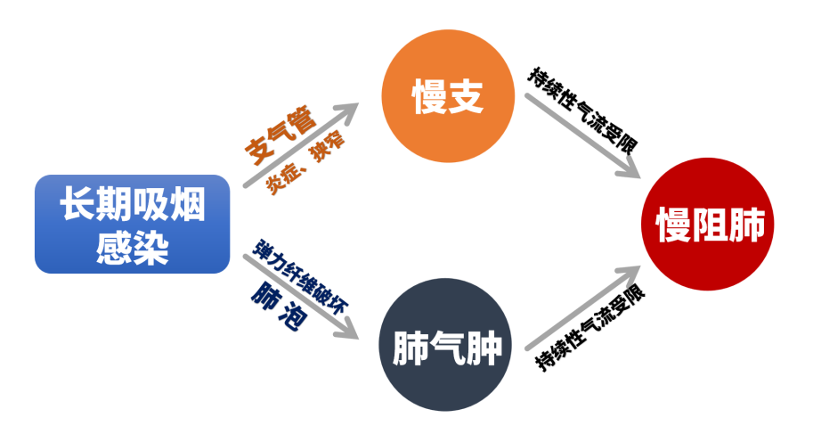 &#113;&#121;&#21315;&#20159;&#45;&#113;&#121;&#21315;&#20159;&#40;&#20013;&#22269;&#41;&#19968;&#31449;&#24335;&#26381;&#21153;&#23448;&#26041;&#32593;&#31449;