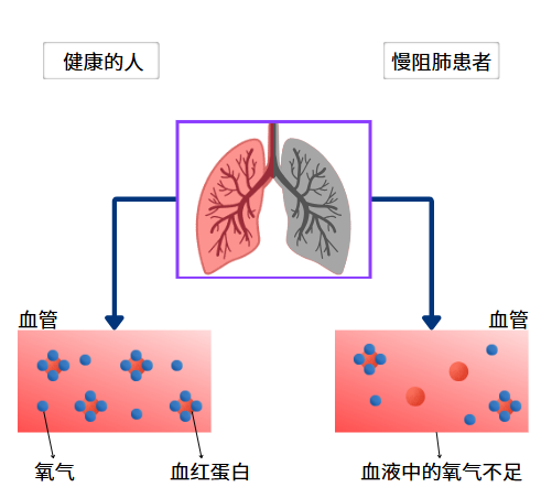 &#113;&#121;&#21315;&#20159;&#45;&#113;&#121;&#21315;&#20159;&#40;&#20013;&#22269;&#41;&#19968;&#31449;&#24335;&#26381;&#21153;&#23448;&#26041;&#32593;&#31449;